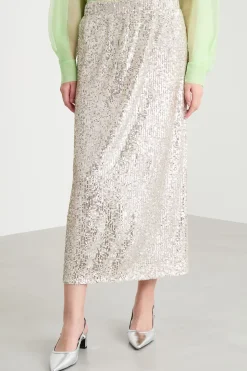 Gonna in tulle ricamato - Argento