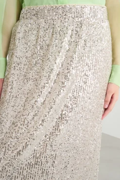 Gonna in tulle ricamato - Argento