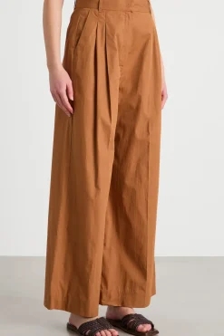 Pantalone ampio con pinces - Marrone