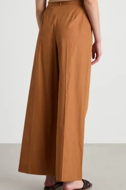 Pantalone ampio con pinces - Marrone